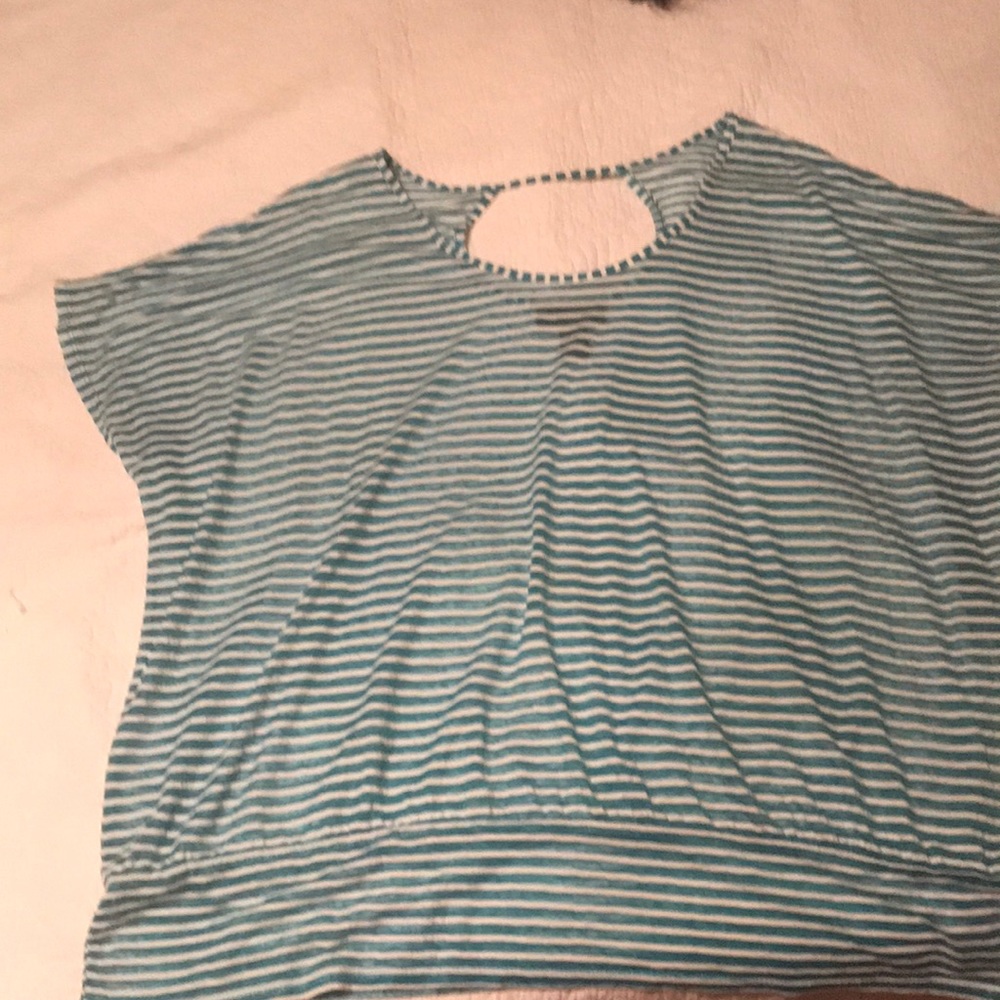 Lane Bryant sheer top